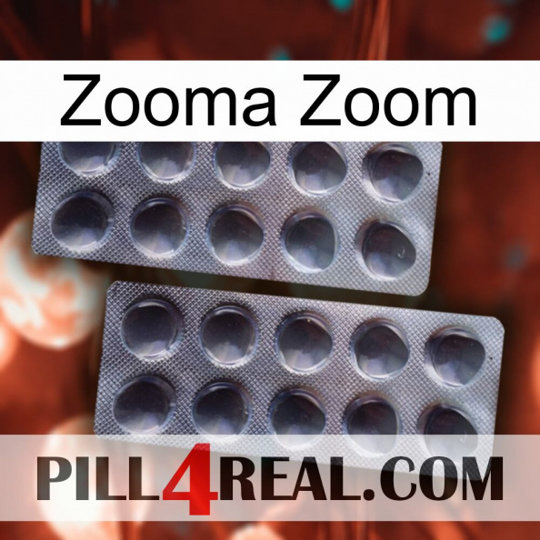 Zooma Zoom 31.jpg